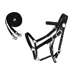Bridle