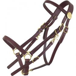 Bridle