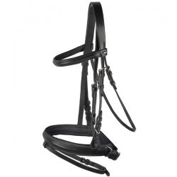 Bridle