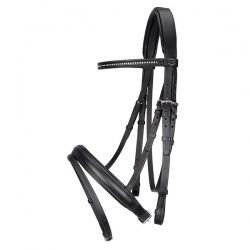 Bridle