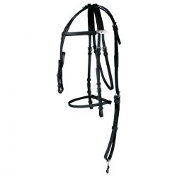 Bridle