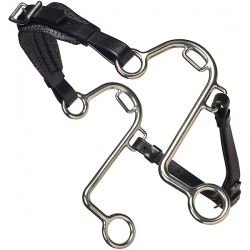 Hackamore Bit
