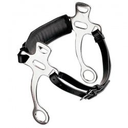 Hackamore Bit