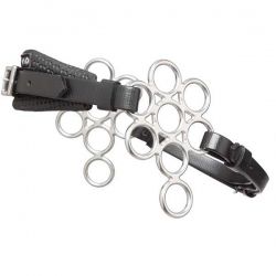Hackamore Bit