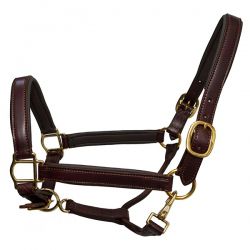 Halter
