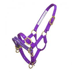 Halter