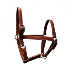 Halter