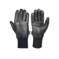Riding Gloves