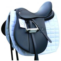 Saddle