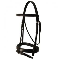 Spanish Bridle