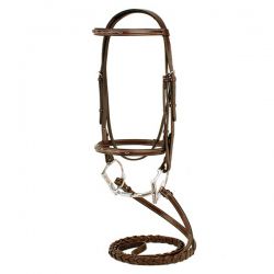 Spanish Bridle