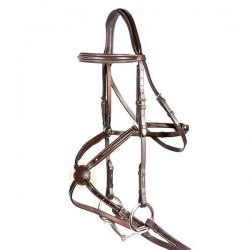 Spanish Bridle