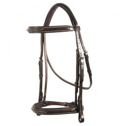 Spanish Bridle