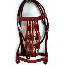 Spanish Bridle